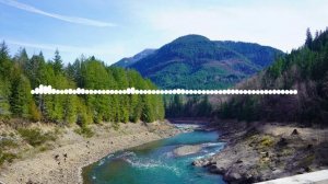 Анора - Салма 2024