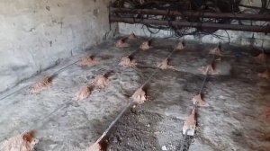 заливка пола в гараже стяжка