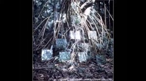 Лекция Ирины Кулик в Музее «Гараж». Роберт Смитсон. Лэнд-арт.