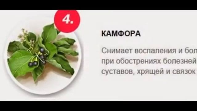 Крем акулий жир инструкция смотреть онлайн