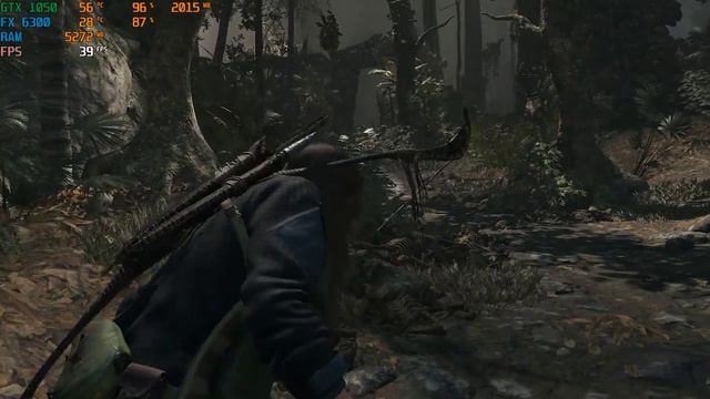 Shadow Of The Tomb Raider FX 6300 + GTX 1050