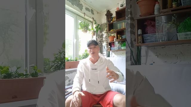 стих.. про порядок мира и порядок высший.. так же рассуждение.. и для тех кто досмотрит до конца... смотреть онлайн