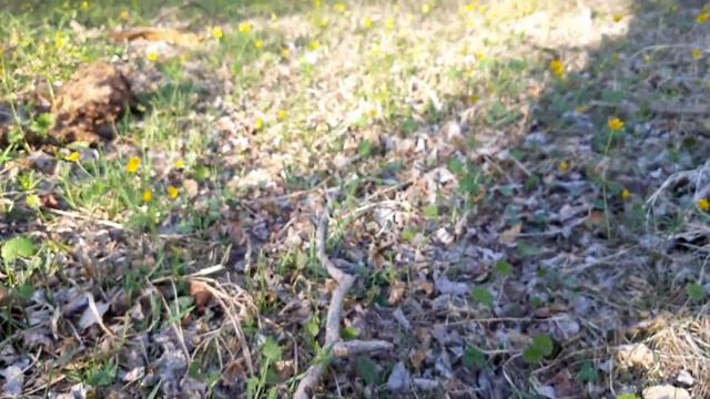 Байтог весна-лето 2020 смотреть онлайн