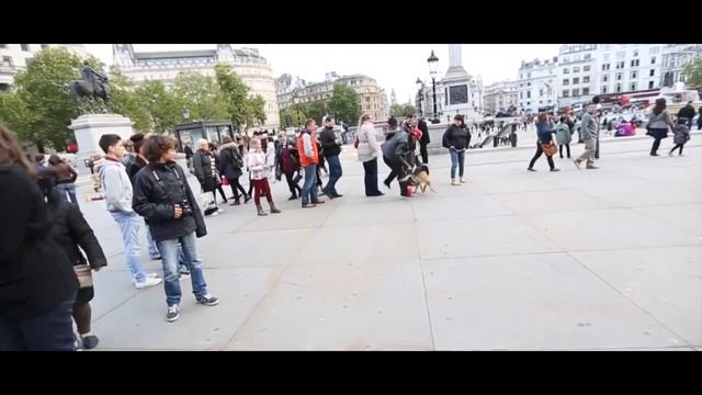 Football Freestyle Skills Volume 1 - 2014 HD смотреть онлайн