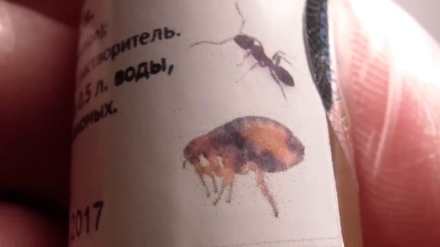 Средство Палач делается из Фуфанона смотреть онлайн