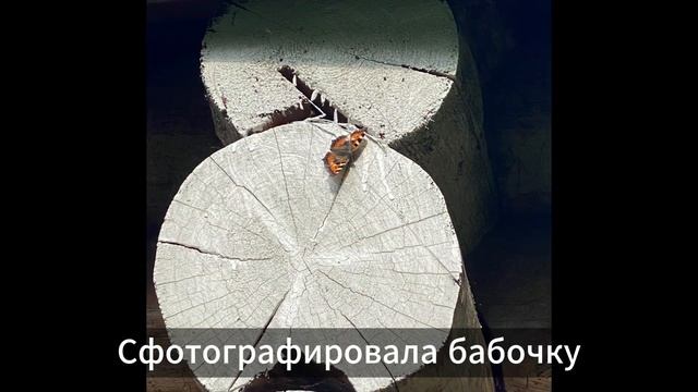 Влог: один мой день 1 сентября, иду в 6 класс смотреть онлайн