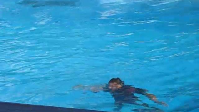 дельфины дрессированные смотреть онлайн