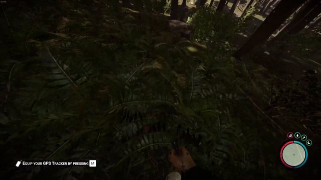 مکان سنگ پرتاب کن(Slingshot) | Sons of the forest смотреть онлайн