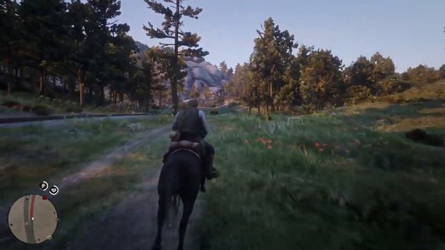 МАСКИРОВКА - Red Dead Redemption 2 #36 смотреть онлайн