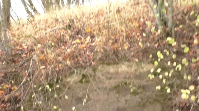 Сутьково. Бетонный блиндаж (246) в поле смотреть онлайн