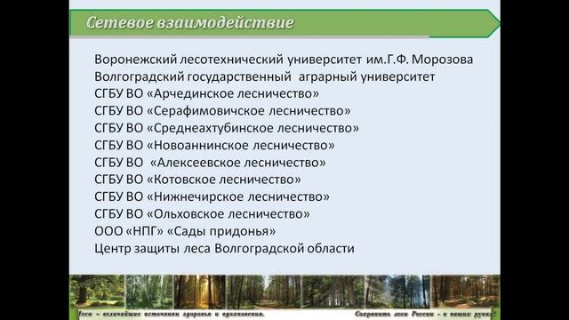 «Выбирай профессию.34» №28 Лесное и лесопарковое хозяйство смотреть онлайн