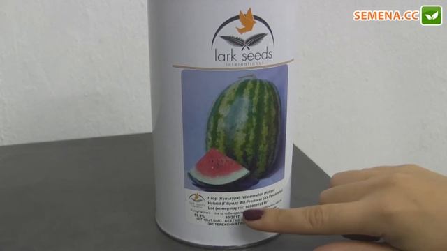 Кавун АУ Продюсер (Lark Seed) Антифейк смотреть онлайн