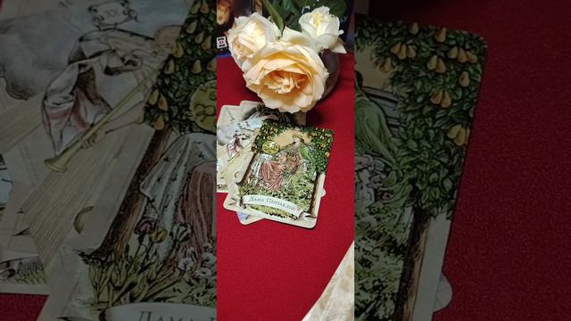 Срочно❗Почему Вы нашли это видео 💫🔥 Расклад Таро смотреть онлайн