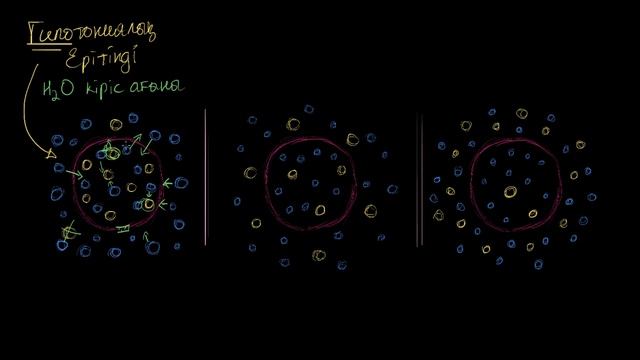 Гипотониялық, изотониялық және гипертониялық ерітінділер | Қазақ Хан Академия смотреть онлайн