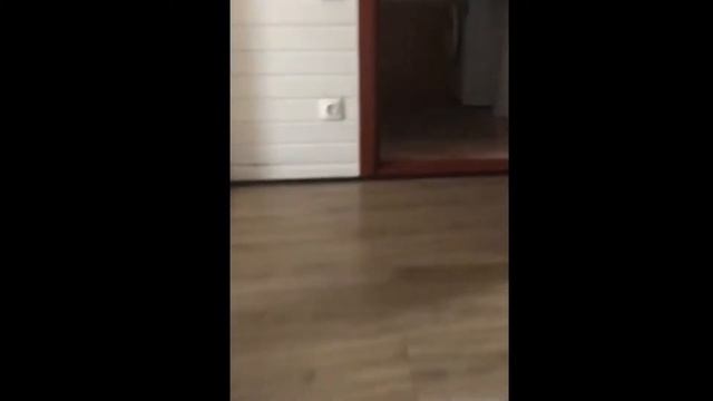 База Якорная Февраль 2019 смотреть онлайн