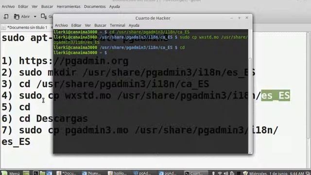 Cambiar pgadmin3 de postgresql de idioma al español en linux смотреть онлайн
