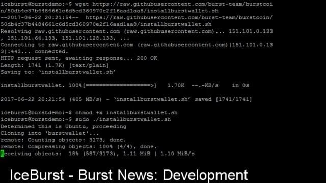 BURST Node Installation script and tutorial! смотреть онлайн