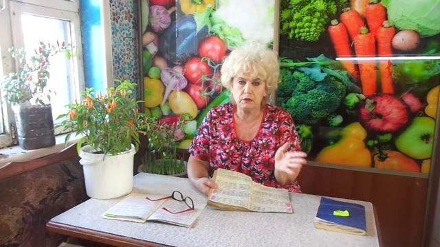 СКОЛЬКО ТОМАТОВ РАЗМЕСТИТЬ В ТЕПЛИЦЕ? Ольга Чернова. смотреть онлайн