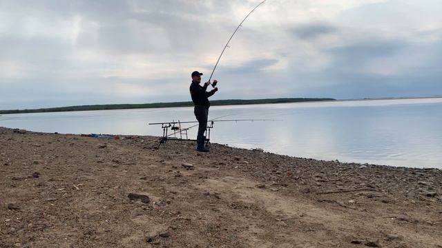 Вятское, дикий сазан, 20 мая 2022, Хабаровск, рвёт садок и снасти смотреть онлайн