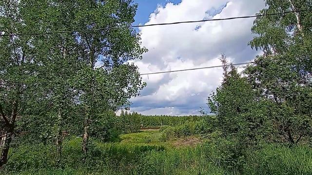 Продаётся участок в дер.Сбоево Дмитровского г.о. Московской области смотреть онлайн