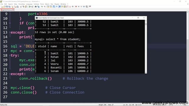 How to Delete Data from Table in Python (Hindi) смотреть онлайн