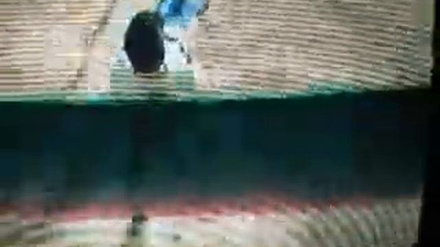 Skate it tricks смотреть онлайн