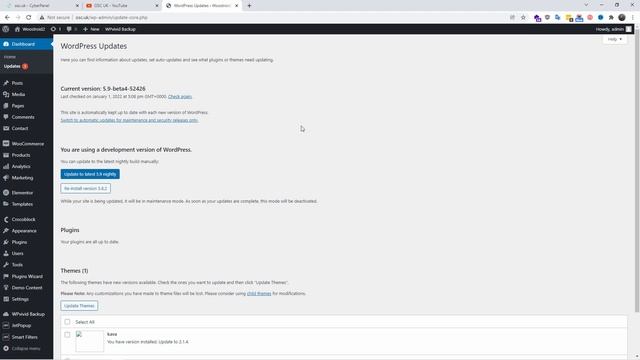 Installation and Honest Opinion/Review of WooStroid 2 for Wordpress | TemplateMonster and MonsterON смотреть онлайн