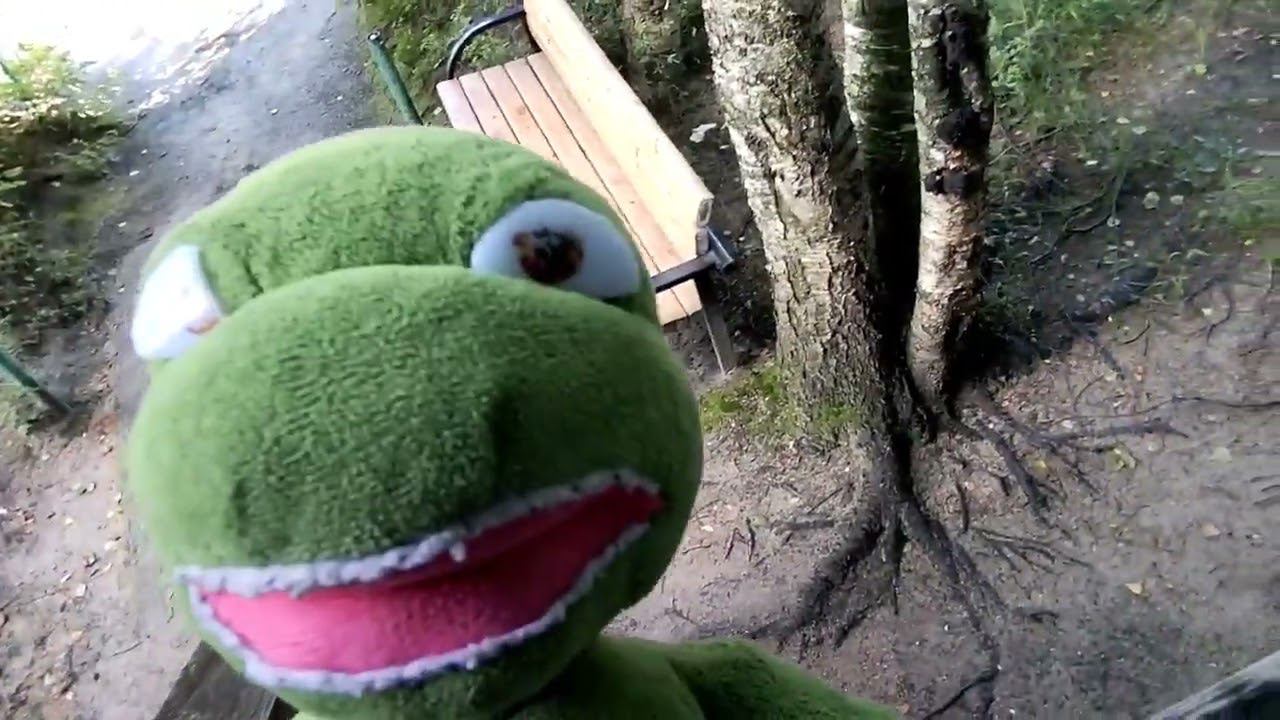 ЧЕРЕПУХУС НА ПРОГУЛКЕ 5! РЫЖИК ЧУТЬ ЕГО НЕ СЪЕЛ!