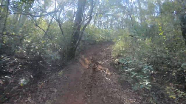 Honda CRF250F Superando retos del Enduro смотреть онлайн