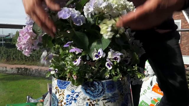 Iets anders doen met bloembollen | Tuinieren | Tuinmanieren смотреть онлайн