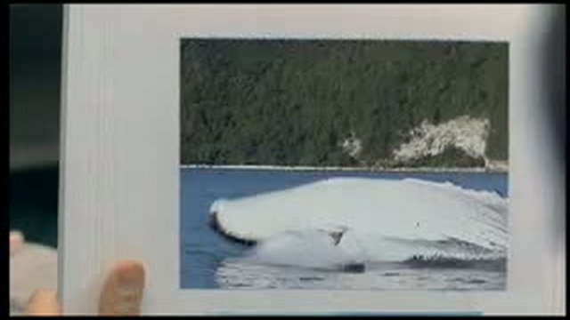 МАРИМЕР, часть 1 