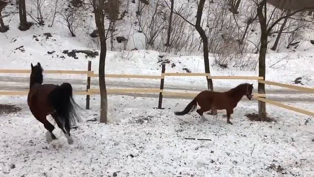 Кексик играет 😊 смотреть онлайн