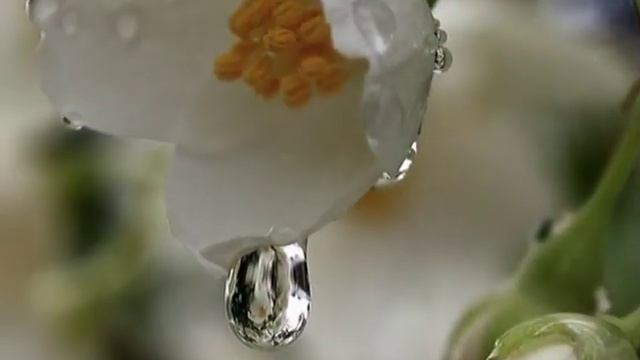 дождик смотреть онлайн