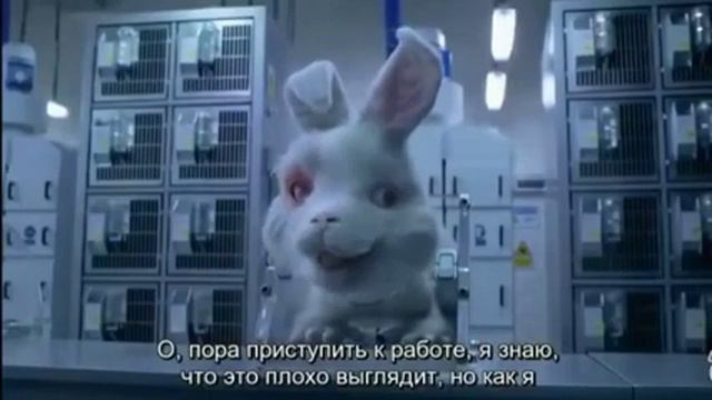 Кролик Ральф. Rabbit Ralf