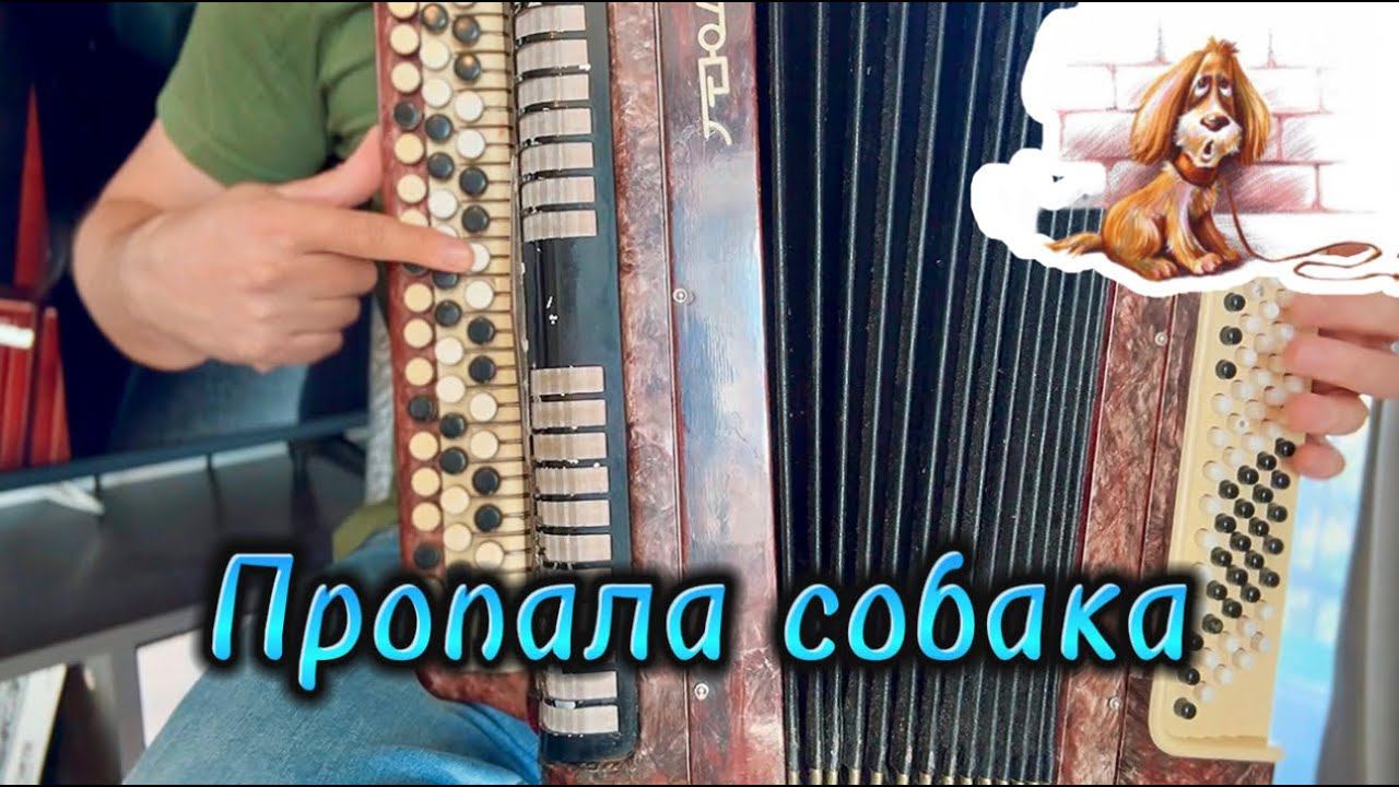 Пропала собака (Владимир Шаинский) Разбор на баяне