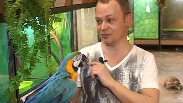 Путешествие в мир экзотики смотреть онлайн