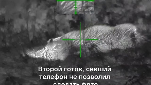 3. Охота на шакала в Ростовской области с прицелом Guide TR 430 и карабином CZ 557 .308win смотреть онлайн