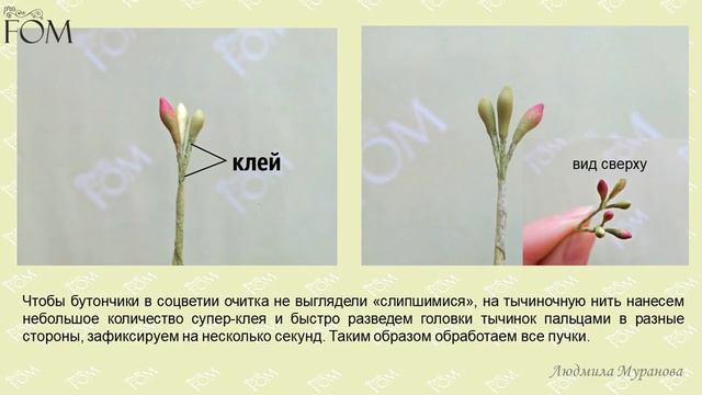 Мастер-класс "Очиток видный из фоамирана" - Людмила Муранова смотреть онлайн