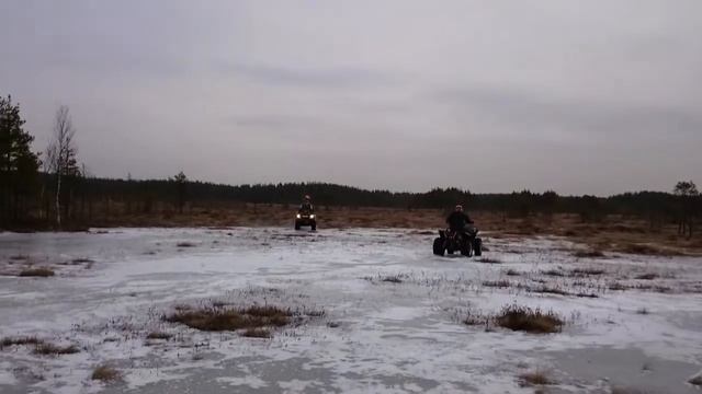 Кёрлинг Смарт Мови Пиннакла