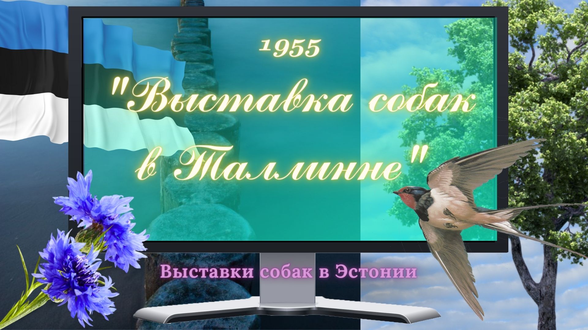 1955 Выставка собак в Таллинне.