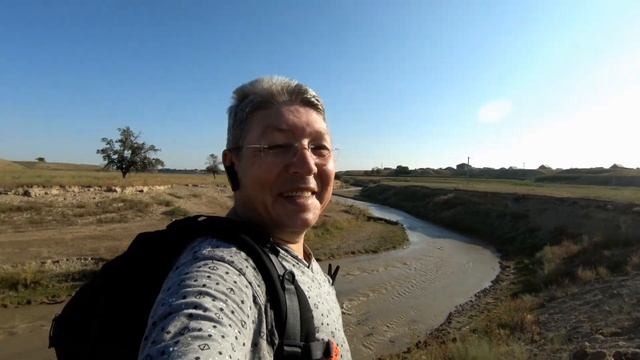 Новая попытка в поисках древностей + Спиленное дерево ! смотреть онлайн