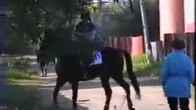 Примерно 2001 год, конкур в КСК Белая Лошадь(Белая Дача) смотреть онлайн