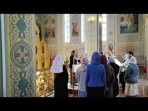 По входе: тропарь и кондак праздника Покрова Пресвятой Богородицы. Регент Таисия Марченко. смотреть онлайн