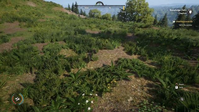 Medieval Dynasty | GodMode And Other Console Commands!