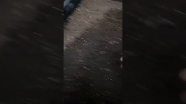 WORMSCHEB. WC-1. Небольшой обзор вермифермы по выращиванию Дендробены. смотреть онлайн