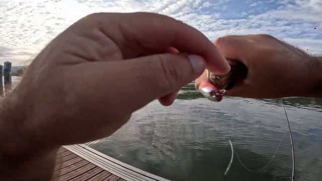 Fishus Shad Attack! Slow o terror dos Luciopercas e Achigãs смотреть онлайн