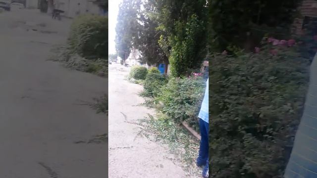 Промышленная смотреть онлайн