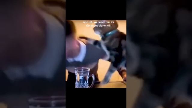 Постарайся не смеяться? Забавные животные?‖ #shorts ‖ Fun Store смотреть онлайн