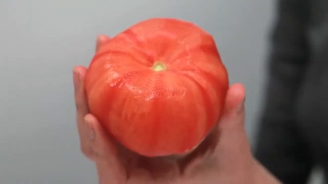 Овощечистка 3 в 1 «ТРИО» trio 3 1 смотреть онлайн