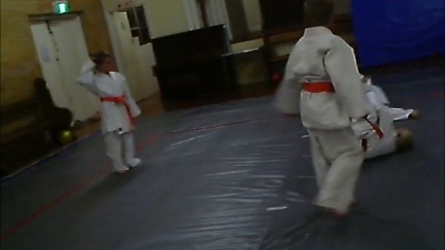 Judo Game: Breakfall Tiggi смотреть онлайн